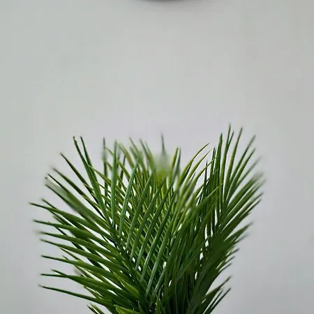 Apartamento Tour Est - T2 Entre Cité Médiévale Et Bastide Carcasona